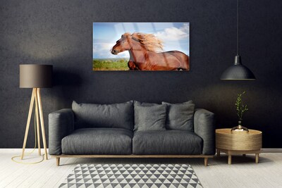 Quadro acrílico Animais Cavalos