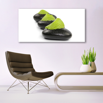 Pintura acrílica Arte em Pedras