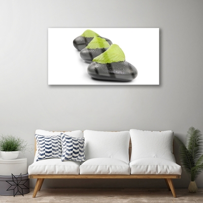 Pintura acrílica Arte em Pedras