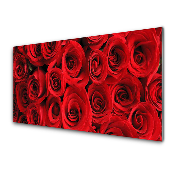 Quadro acrílico Flores de rosas