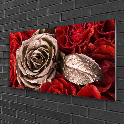 Quadro acrílico Flores de rosas
