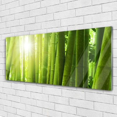Quadro acrílico Planta de bambu