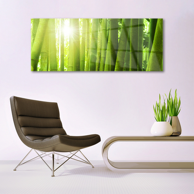 Quadro acrílico Planta de bambu