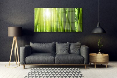 Quadro acrílico Planta de bambu