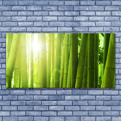 Quadro acrílico Planta de bambu
