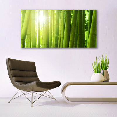 Quadro acrílico Planta de bambu