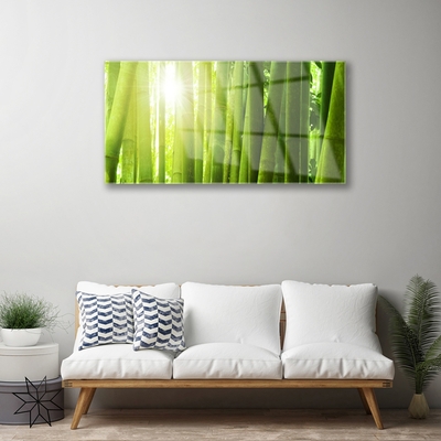 Quadro acrílico Planta de bambu
