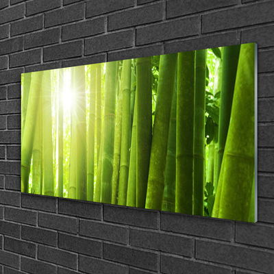 Quadro acrílico Planta de bambu