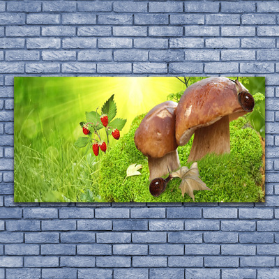 Pintura acrílica Cogumelos Frutas Morangos