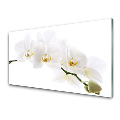 Quadro acrílico Flores de orquídea