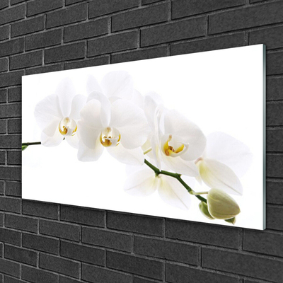 Quadro acrílico Flores de orquídea