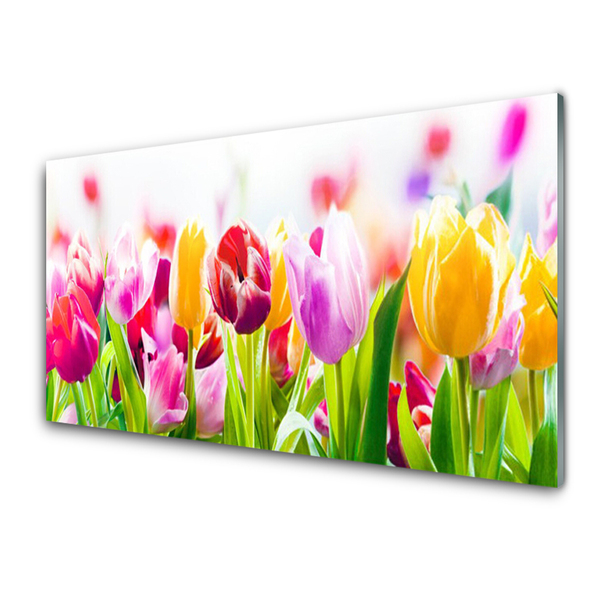 Quadro acrílico Tulipas Flores