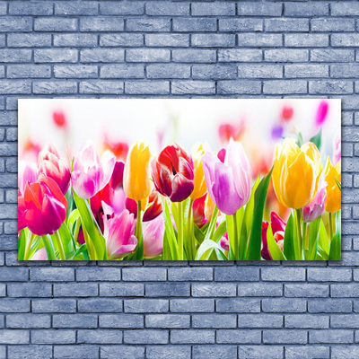 Quadro acrílico Tulipas Flores