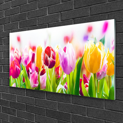 Quadro acrílico Tulipas Flores