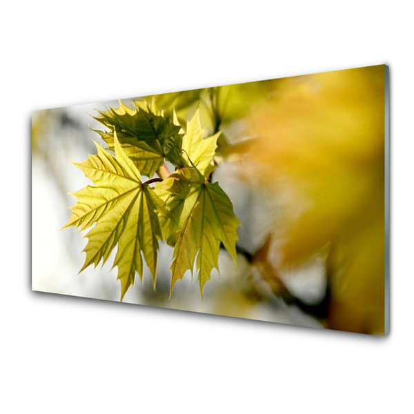 Quadro acrílico Folhas Planta