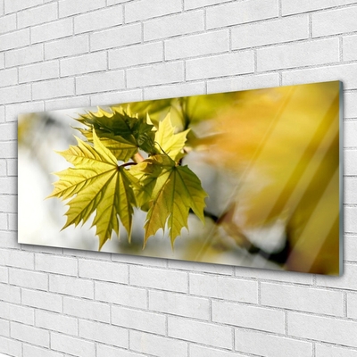 Quadro acrílico Folhas Planta