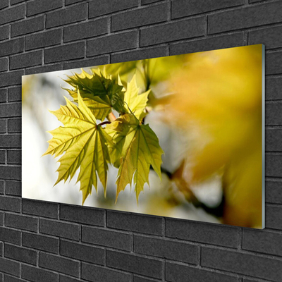 Quadro acrílico Folhas Planta