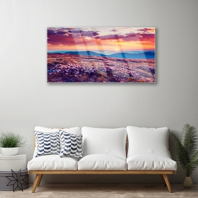 Quadro acrílico Prado Montanha Flores Natureza