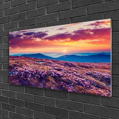 Quadro acrílico Prado Montanha Flores Natureza