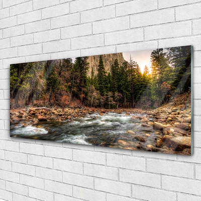 Quadro acrílico Lago Floresta Natureza Água