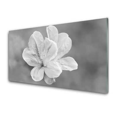 Quadro acrílico Planta de flores