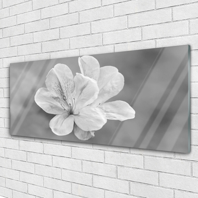 Quadro acrílico Planta de flores