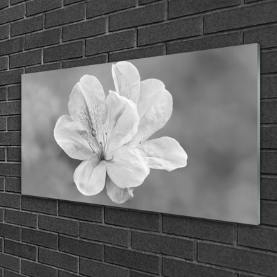 Quadro acrílico Planta de flores