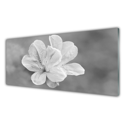 Quadro acrílico Planta de flores