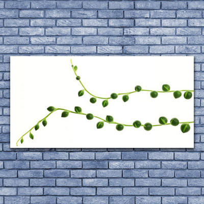 Quadro acrílico Planta ornamental