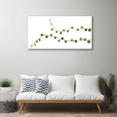 Quadro acrílico Planta ornamental