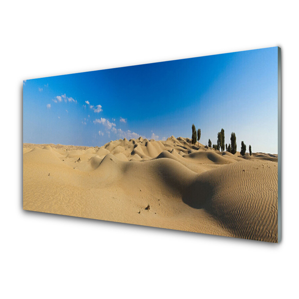 Quadro acrílico Paisagem desértica de areia