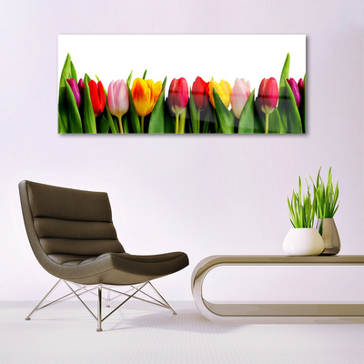 Quadro acrílico Planta de tulipas