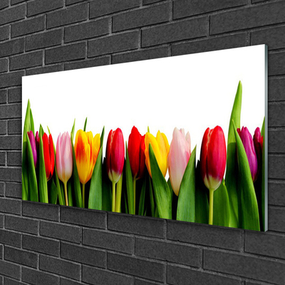 Quadro acrílico Planta de tulipas