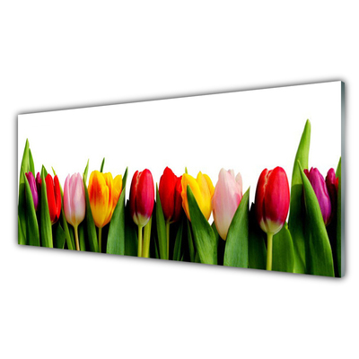 Quadro acrílico Planta de tulipas