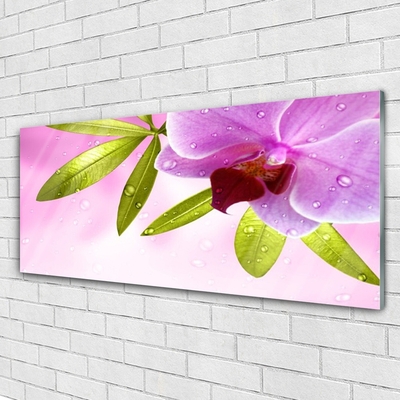 Quadro acrílico Flor Folhas Planta