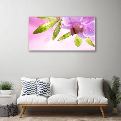 Quadro acrílico Flor Folhas Planta
