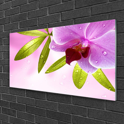 Quadro acrílico Flor Folhas Planta
