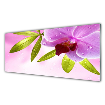 Quadro acrílico Flor Folhas Planta
