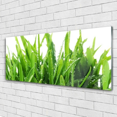 Quadro acrílico Planta de grama