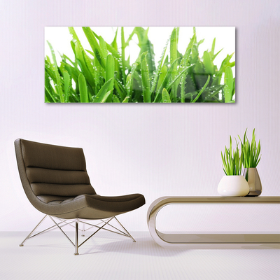 Quadro acrílico Planta de grama