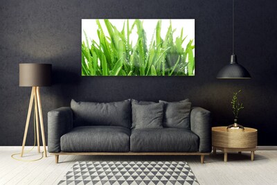 Quadro acrílico Planta de grama