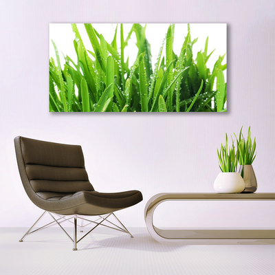 Quadro acrílico Planta de grama