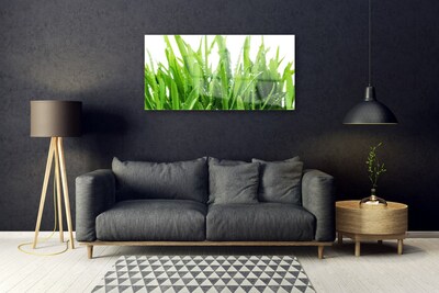Quadro acrílico Planta de grama