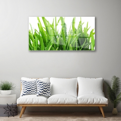 Quadro acrílico Planta de grama