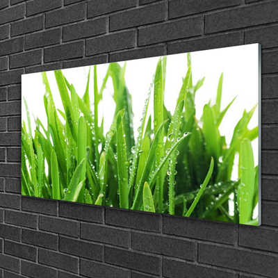 Quadro acrílico Planta de grama