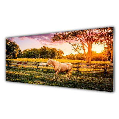 Pintura acrílica Cavalo Prado Animais Natureza