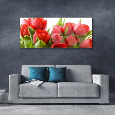 Quadro acrílico Tulipas Flores Planta
