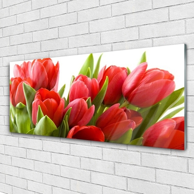 Quadro acrílico Tulipas Flores Planta