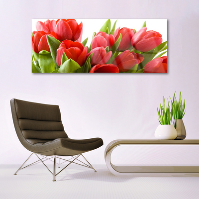 Quadro acrílico Tulipas Flores Planta