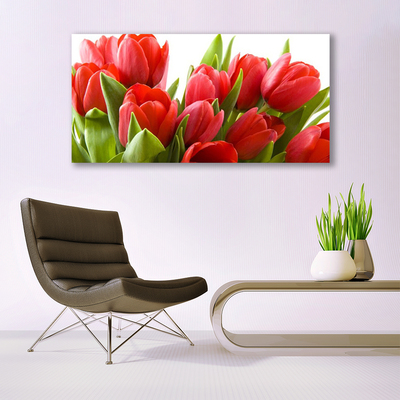 Quadro acrílico Tulipas Flores Planta